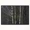 Designart - Black and White Birch Forest - Abstract Wall Art Canvas in Black Frame